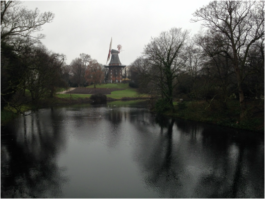 Picture