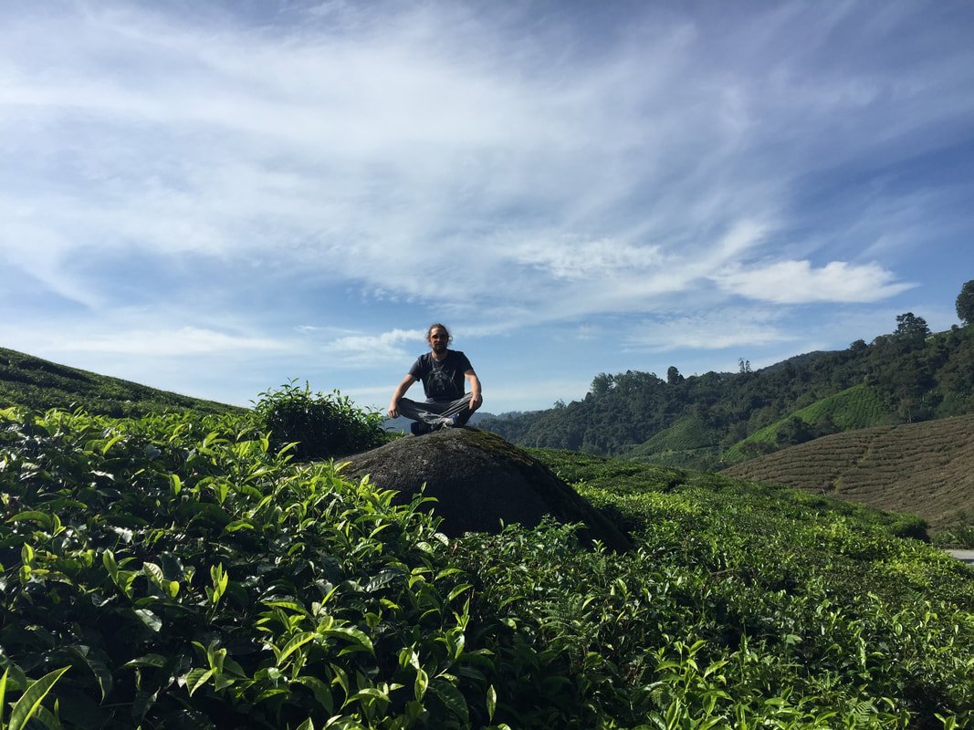 Cameron Highlands