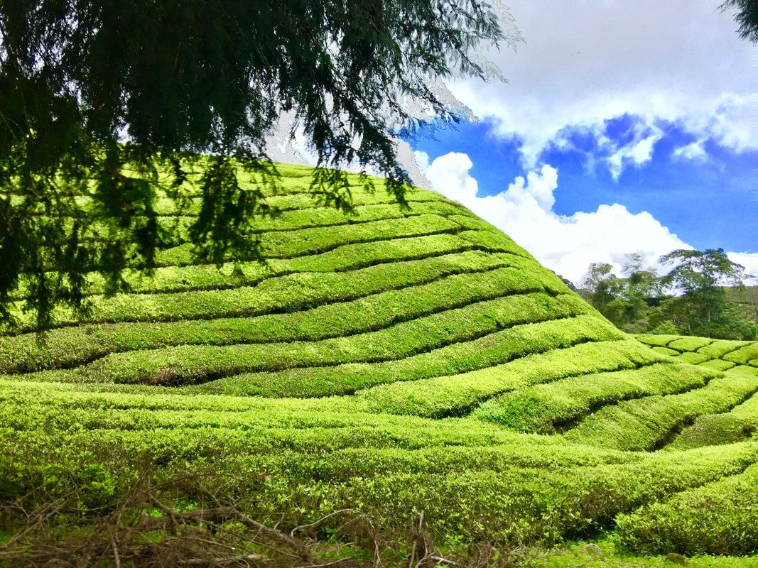 Malaysia travel photo 3