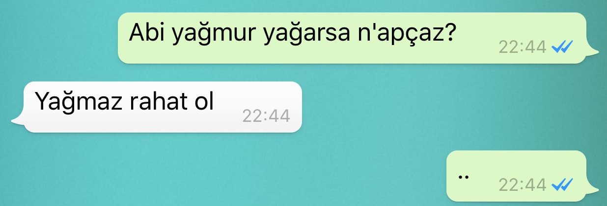 Resim