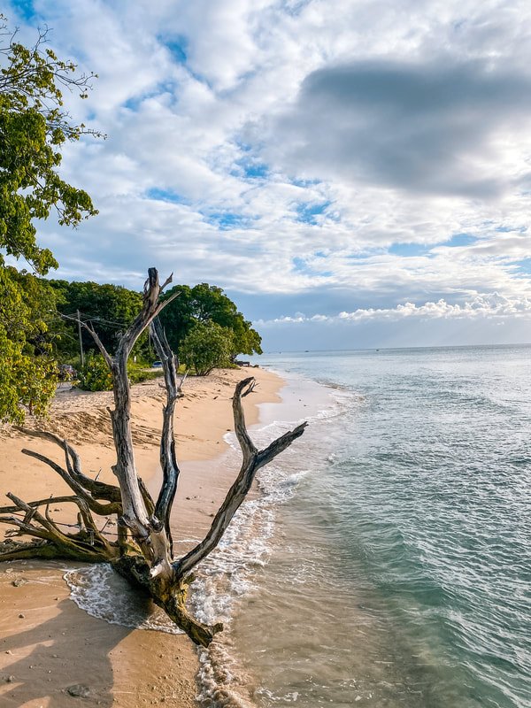 Barbados travel photo 2
